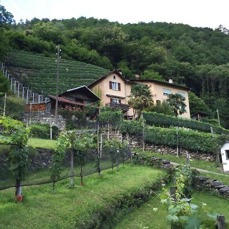 Casa Immersa Nel Vigneto Roveredo المظهر الخارجي الصورة