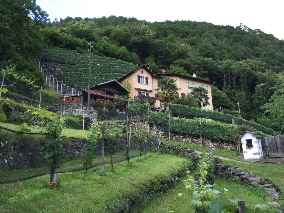 Casa Immersa Nel Vigneto Roveredo المظهر الخارجي الصورة