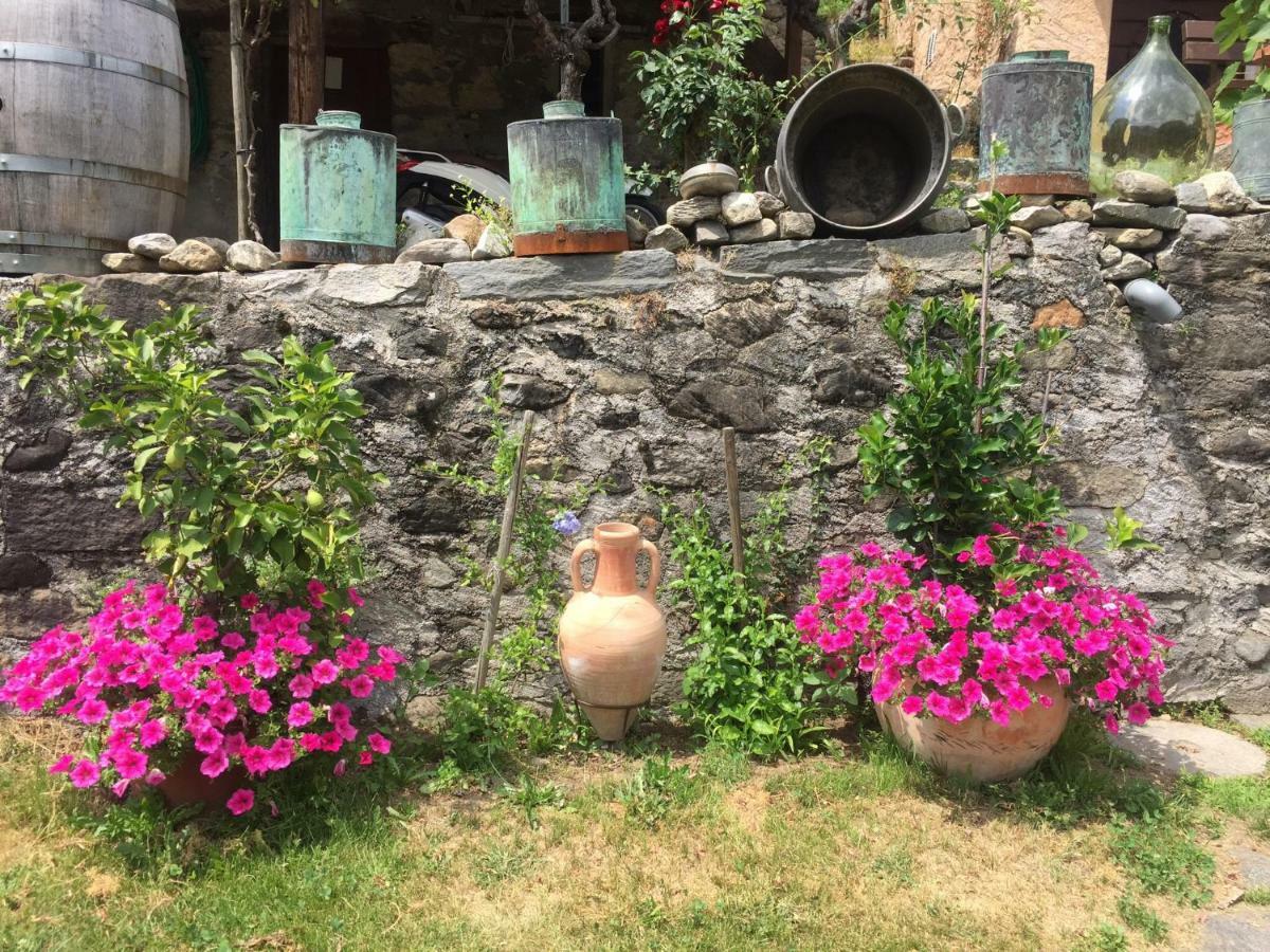 Casa Immersa Nel Vigneto Roveredo المظهر الخارجي الصورة